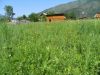 Продам земельный участок 39 сот. на Алтае в селе Анос