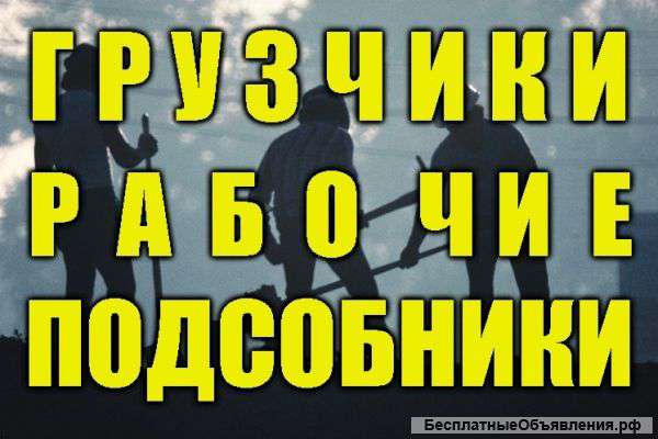 Грузчики-разнорабочие, подсобные рабочие. Бригада - Р Ф