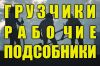 Грузчики-разнорабочие, подсобные рабочие. Бригада - Р Ф