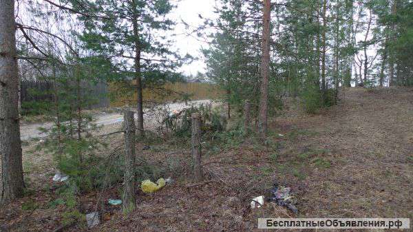 Участок 50 соток (0,5 га)