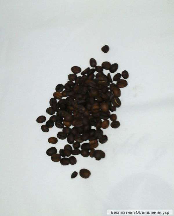 Кофе в зернах Casher Арабика Бразилия Сантос