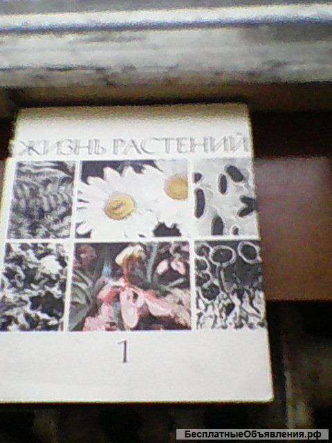 Жизнь растений