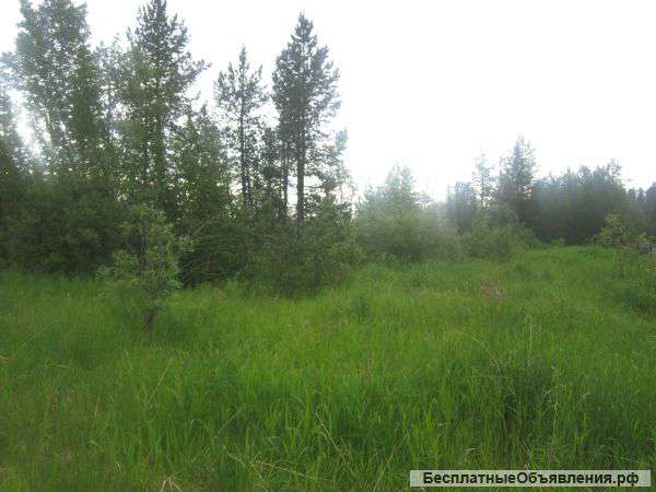 В Верхнетуломский продаётся 200 соток (2га)