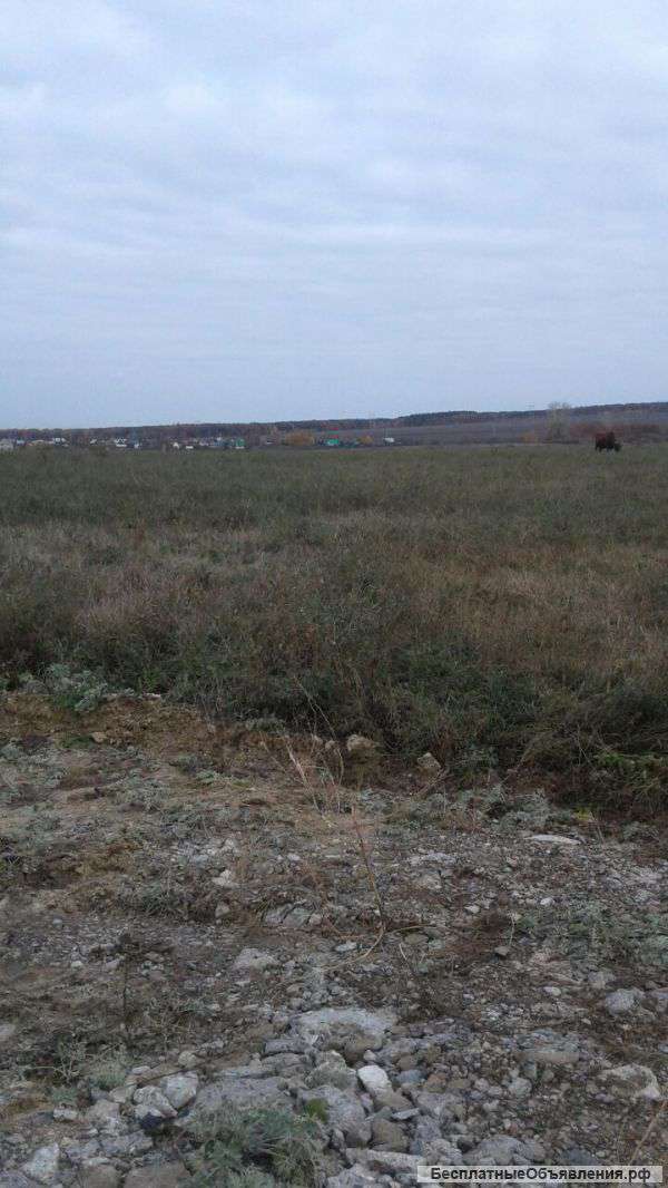 П. Жилино ул. Семейная