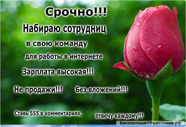 Ищу партнера в команду