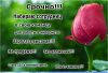 Ищу партнера в команду