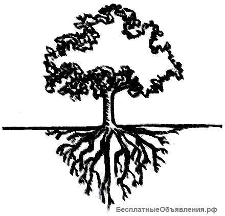 Бухгалтерский аудит