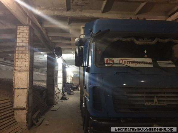 Семенной картофель