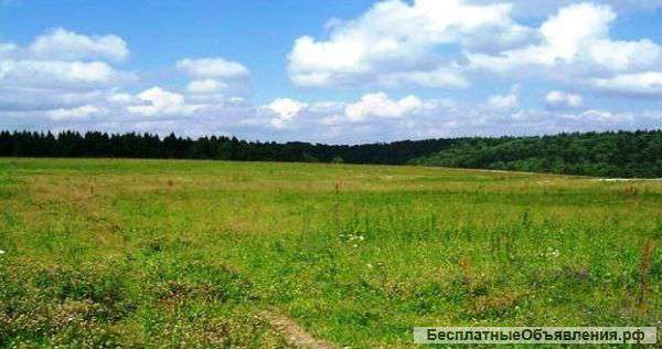 Земельный участок 38 га с/х