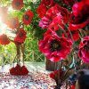 Изготовление Декораций
