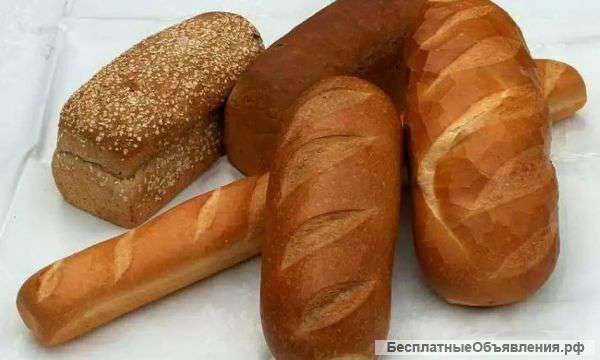 Корм. Хлебо-булочные изделия.