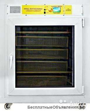 Инкубат Чарли