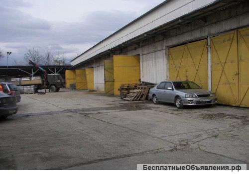 База в Адлере