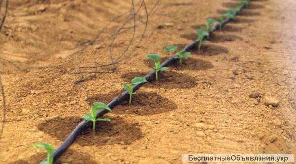 Монтаж систем автополива и озеленение участков