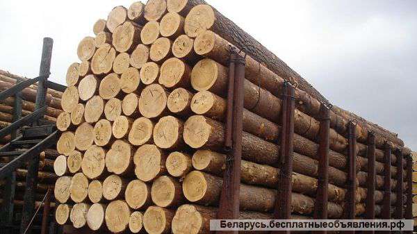 Деревообрабатывающее предприятие лесозаготовка
