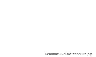 Очаровательные котята