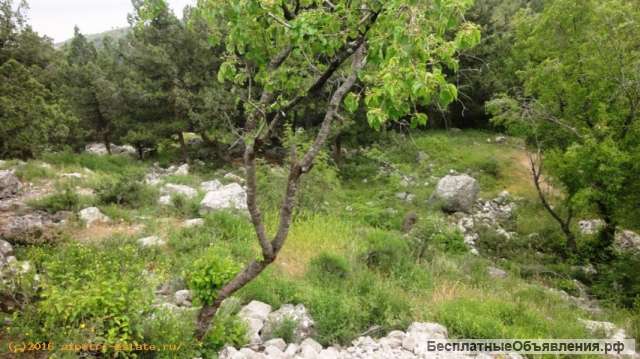 Земельный участок