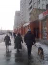 Сдам коммерческое помещение
