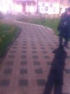 Все виды дорожных работ