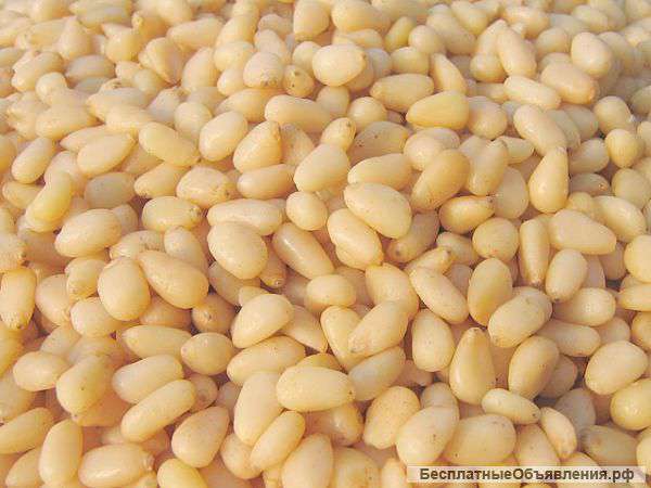 Ядро кедровое. Высший сорт, тувинский