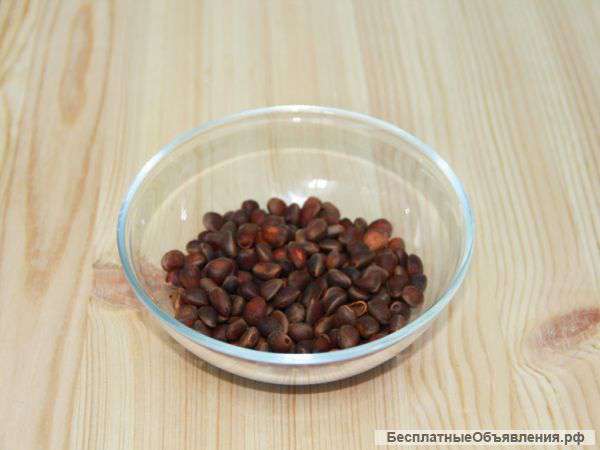 Кедровый орех в скорлупе