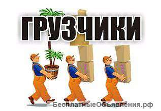 Разнорабочие