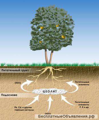 Биоминеральное удобрение в почву. Природный минерал цеолит от 1 кг