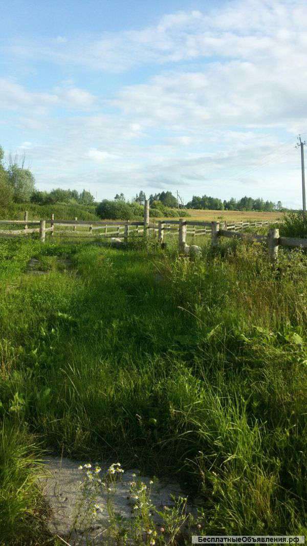 Земельный участки