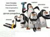 Демонтаж, разнорабочие, переезды, грузчики