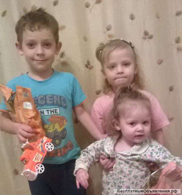 Приму любую финансовую помощь