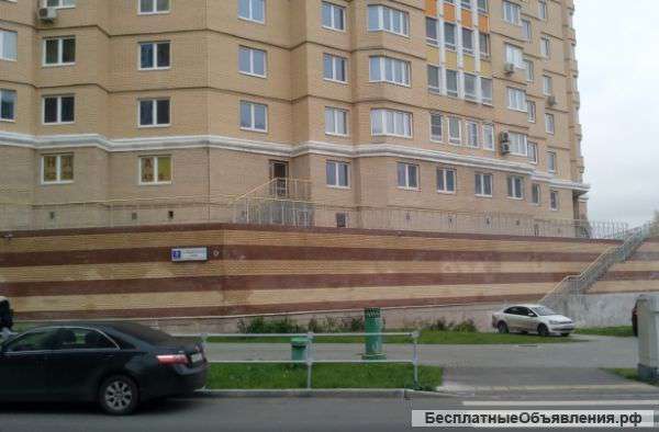В Царицино