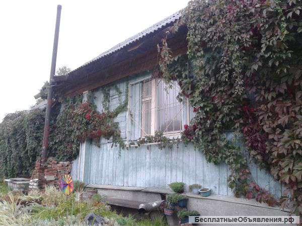 Дом на участке 12 сот
