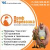 Круглосуточные переезды в Москве и области. Квартиры, дачи, офисы.