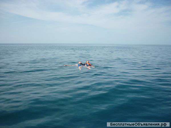 Сдаю жилье на черном море