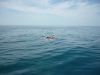 Сдаю жилье на черном море