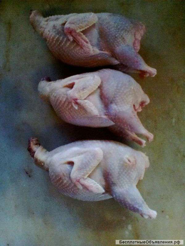 Перепелиное мясо и яйца
