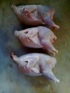 Перепелиное мясо и яйца