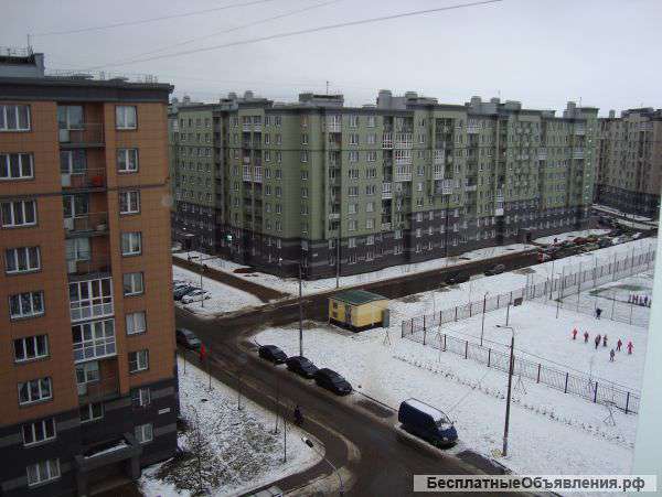 Колпинское ш. 40.