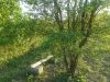 Дачный участок пос. Белозерный