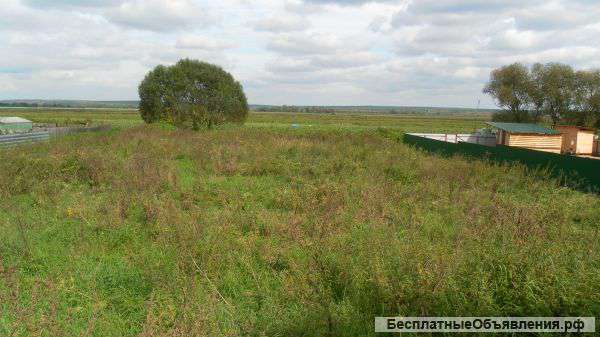 Продам земельный участок в селе Липицы