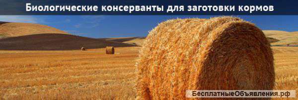 Кормовые добавки