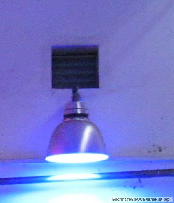 Инновационные технологии в животноводстве