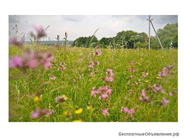 Красивый участок для Вас