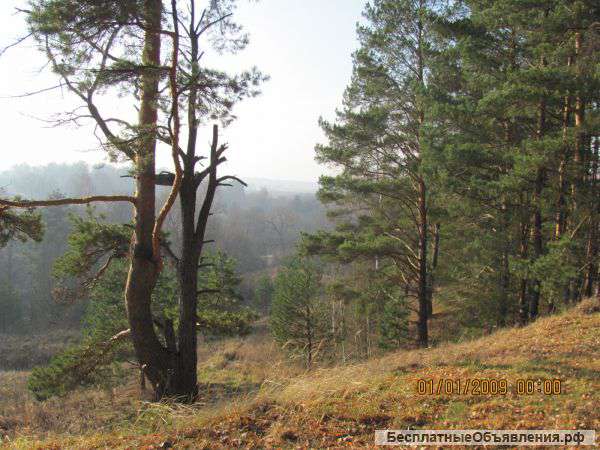Участок в Покровско-Южном
