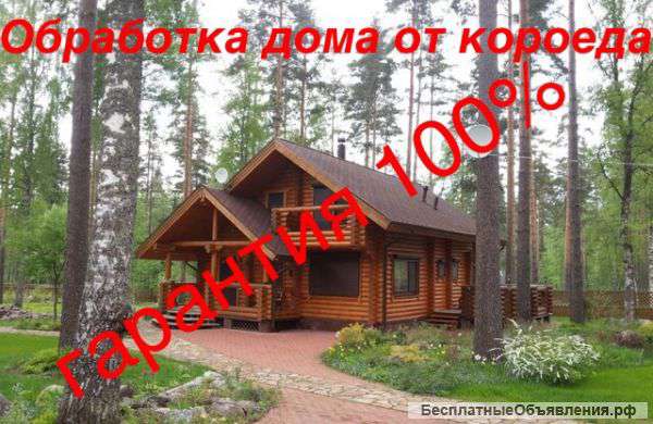 Уничтожение жука короеда в вашем доме(ГАЗОМ)