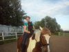 Профессиональная стрижка собак на дому и с выездом
