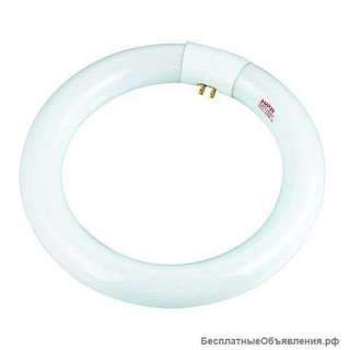 Лампочка кольцевая для лампы лупы Т9