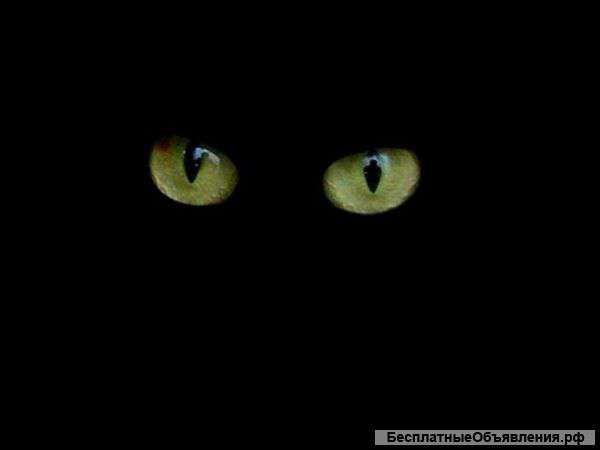 Обучение реальному колдовству