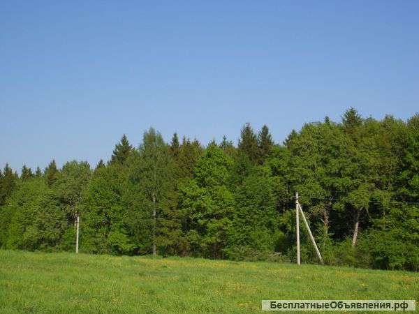 Лесной участок 17 соток в Голенищево (Мытищинский район)
