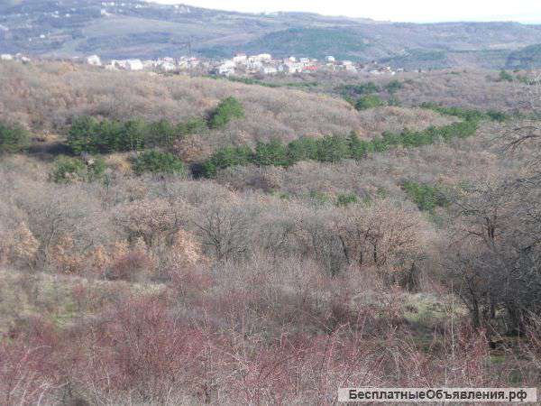 Свой земюучасток